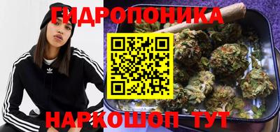 тгк Партизанск